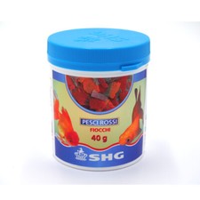 SHG PESCI ROSSI IN FIOCCHI 40