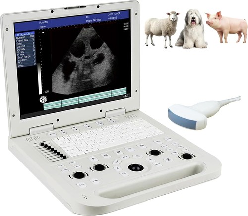 Macchina scanner ecografico