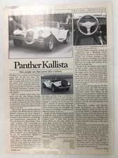 PPPArt32 Article Preview 1986