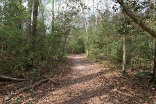 Foto: Big Thicket National