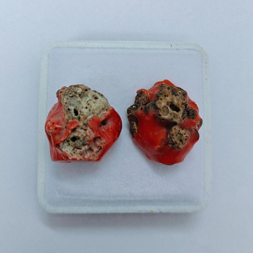 Corallo rosso naturale italia - rosso,