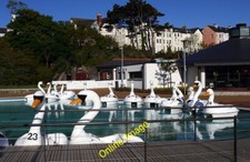 Photo 6x4 The 'Pickie Swans'