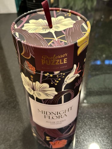 Professor puzzle midnight - puzzle,
