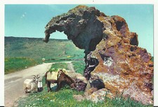 CASTELSARDO (SS) - ROCCIA DELL' ELEFANTE - VIAGGIATA - VEDI FOTO