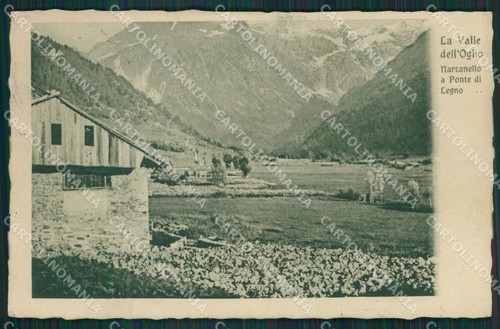 Brescia ponte legno - ponte,