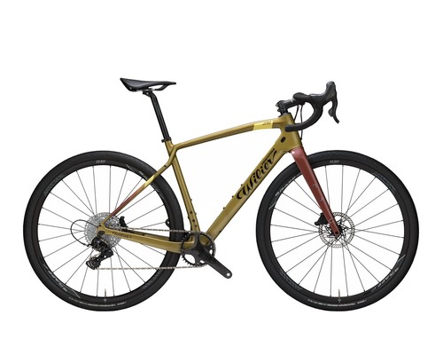 Bici carbonio gravel - bici,