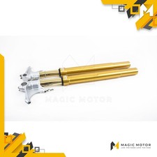 Forcelle Moto Anteriori Ohlins