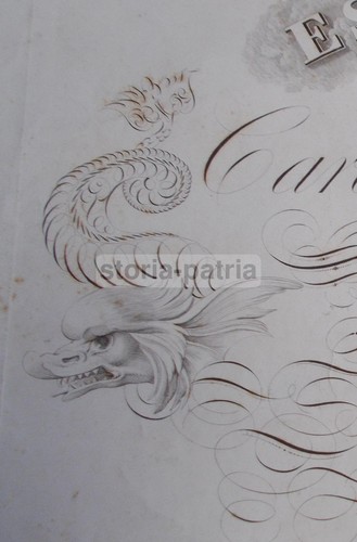 SCRITTURA_CALLIGRAFIA_CALLIGRA