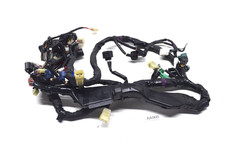 Cablaggio Motore Yamaha YZF R1