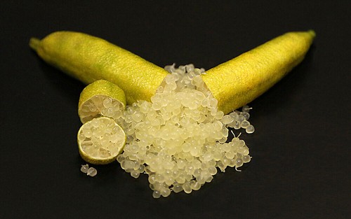 Citrus limon finger lime - citrus,