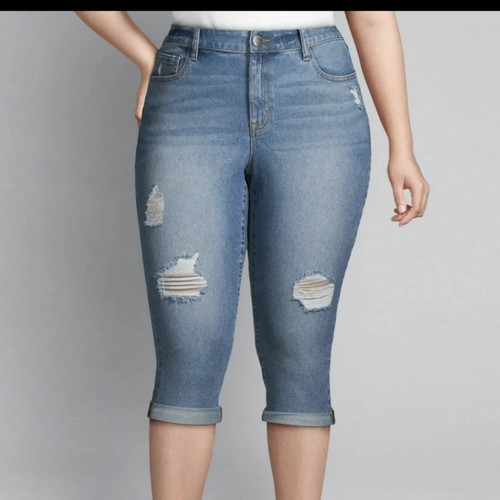 Lane bryant fit genius skinny - fit,