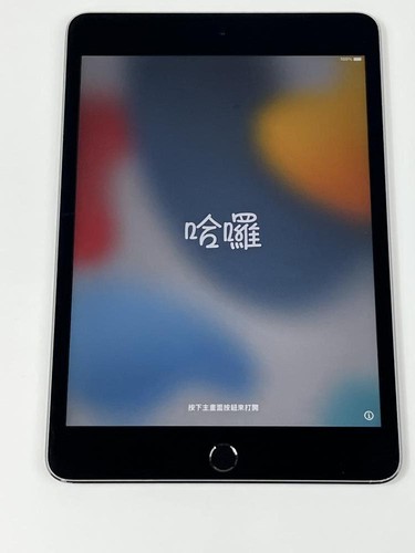 Apple ipad mini - 4, (wifi)