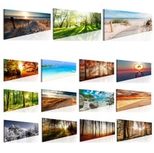 Bosco spiaggia mare natura