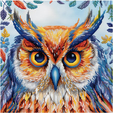 Kit Punto Croce Gufo, Schemi