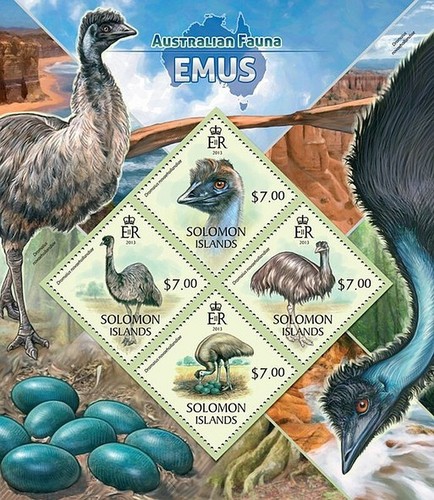 Australia emus emu birds - emus, birds/bird