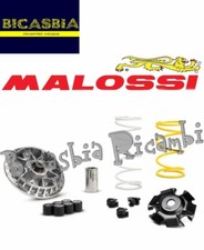 20818 - VARIATORE MULTIVAR