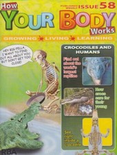 How your body works-issue