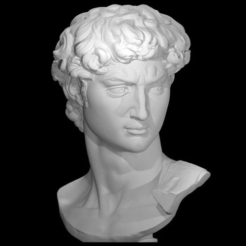Statua scultura testa david - statua,