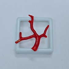 Ramo di corallo rosso pietra