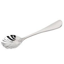 Cucchiai Conchiglia Cucchiaio