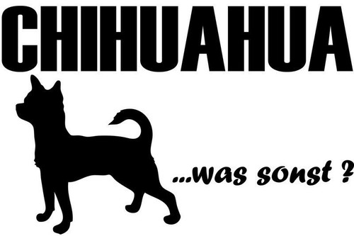Adesivi chihuahua sticker - adesivi,