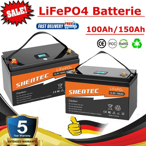 Batteria lifepo4 12v 24v 100ah - lifepo4,
