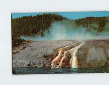 Postcard Excelsior Geyser