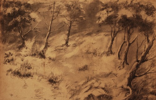 Paesaggio con alberi disegno - paesaggio,