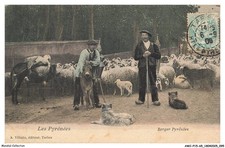 AWCP15-1042-65 - I Pirenei - Pastore Pirenaico