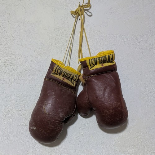 Coppia guantoni boxe - di, da