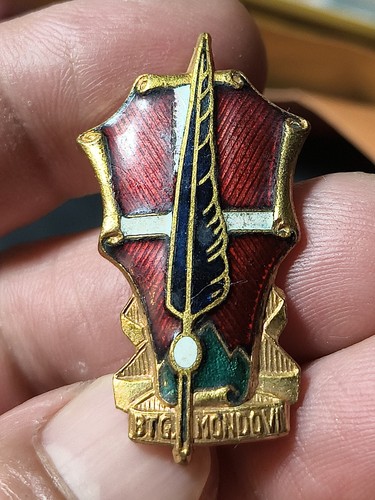 Medaglia spilla fregio - spilla,
