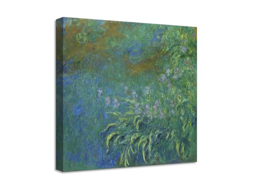 Quadro stampa tela con - quadro,