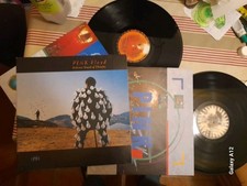 PINK FLOYD / Délicate Sound