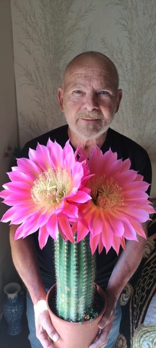 Echinopsis trico cereus - echinopsis-trico,