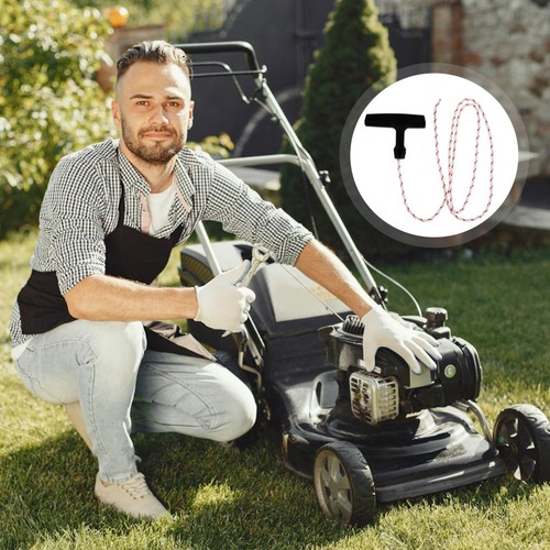 Rasaerba motore di - 2,