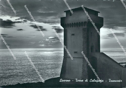 Br208 cartolina livorno torre - br208,