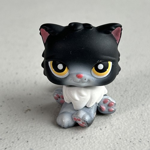 Littlest pet shop gatto - pet, g1