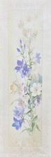Bouquet Di Fiori Estivi Con