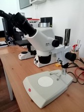 Microscopio stereo trinoculare 7.5X-50X Motic SMZ-171-TP pari al nuovo