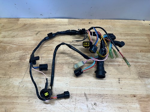 2001 yamaha f100 - wire, harness
