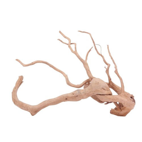 Decorazione radice acquario