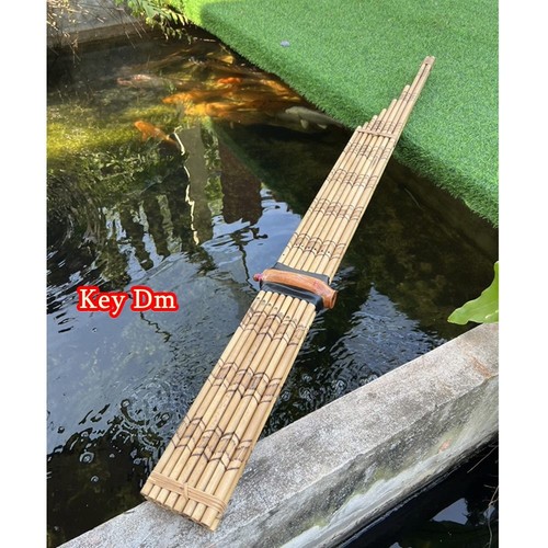 Khaen bamboo silver - bamboo, reed