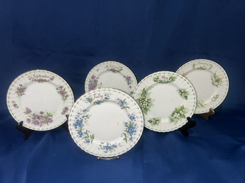 Set piatti royal - di, albert