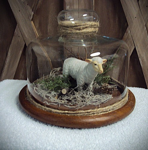 Cupola vetro vintage - , cloche