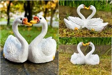 Nuovi cigni amorevoli in