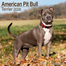 Calendario American Pit Bull