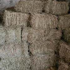 Balle di fieno parallelepipedo