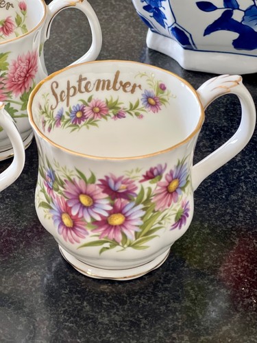 Tazze serie royal albert - tazze,