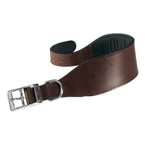 Collare guinzaglio cuoio - , di