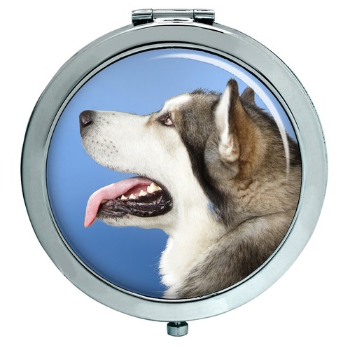 Alaskan malamute specchio - malamute,